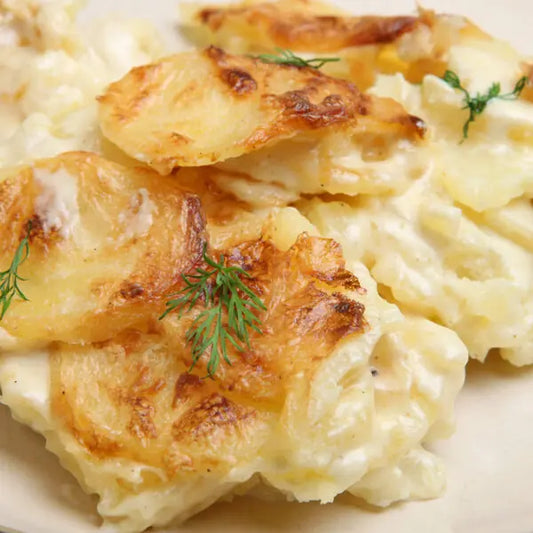 Kartoffelgratin-Brünings Partyservice