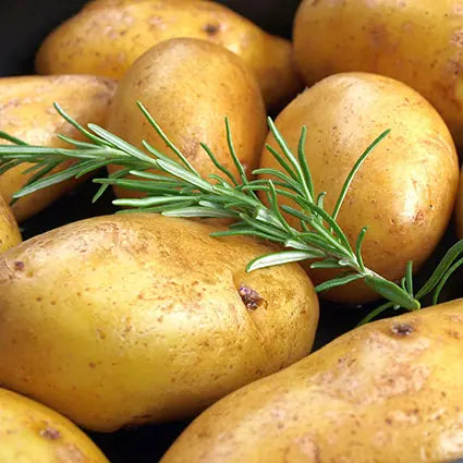 Rosmarinkartoffeln-Brünings Partyservice